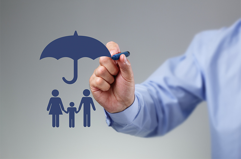 Single Premium Life Insurance Agency Marketing Services Spl